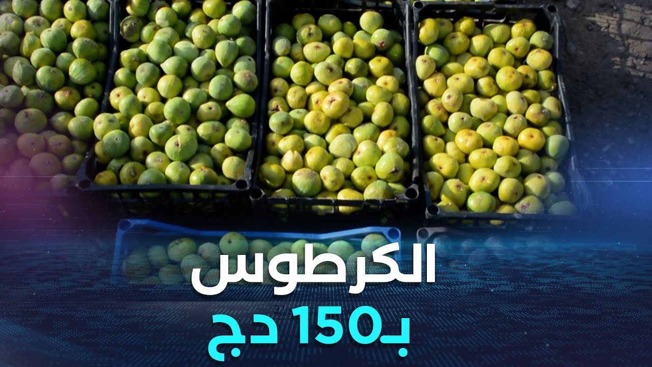 خنشلة.. بفضل وفرة الإنتاج.. استقرار أسعار فاكهة التين بسوق هلة