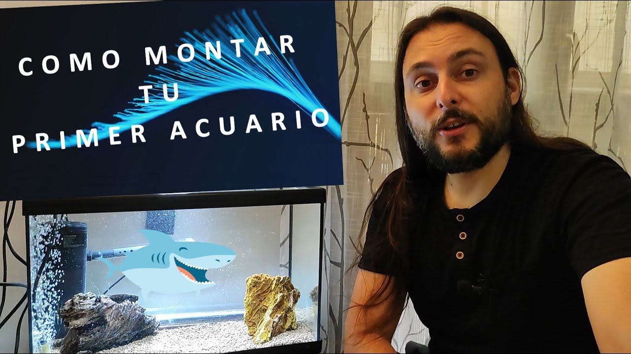 COMO MONTAR TU PRIMER ACUARIO🐠 - GAMBIARIO 🦐  37 Litros🌊