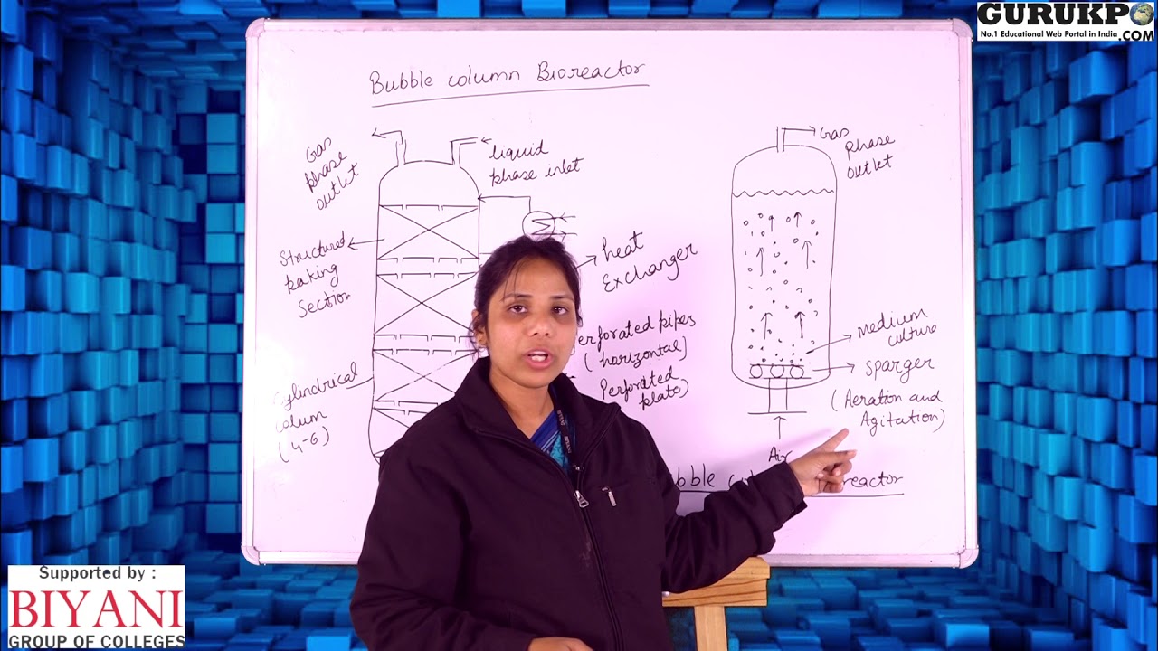 What Is A Bubble Column Reactor?(B.Sc, M.Sc)
