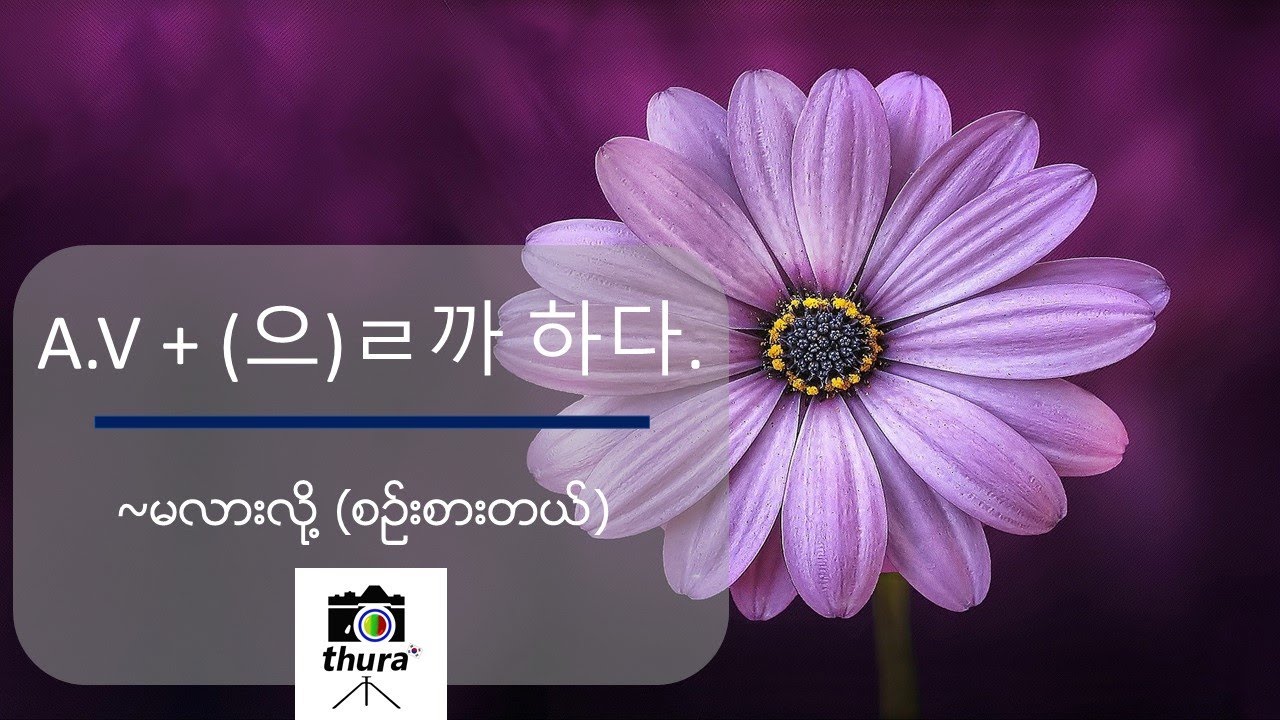 ( Day 106 ) A.V + (으)ㄹ까 하다. = ~မလားလို့ (စဉ်းစားတယ်)