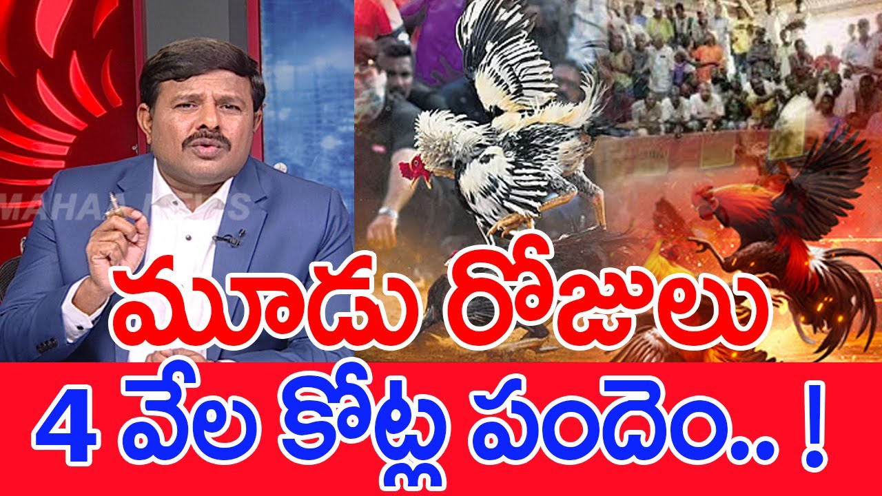 మూడు రోజులు 4 వేల కోట్ల పందెం.. ! : Mahaa Vamsi Analysis On Bhimavram Sankranthi Bettings