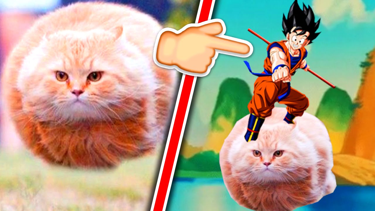 Imágenes tomadas EN EL MOMENTO JUSTO! #1