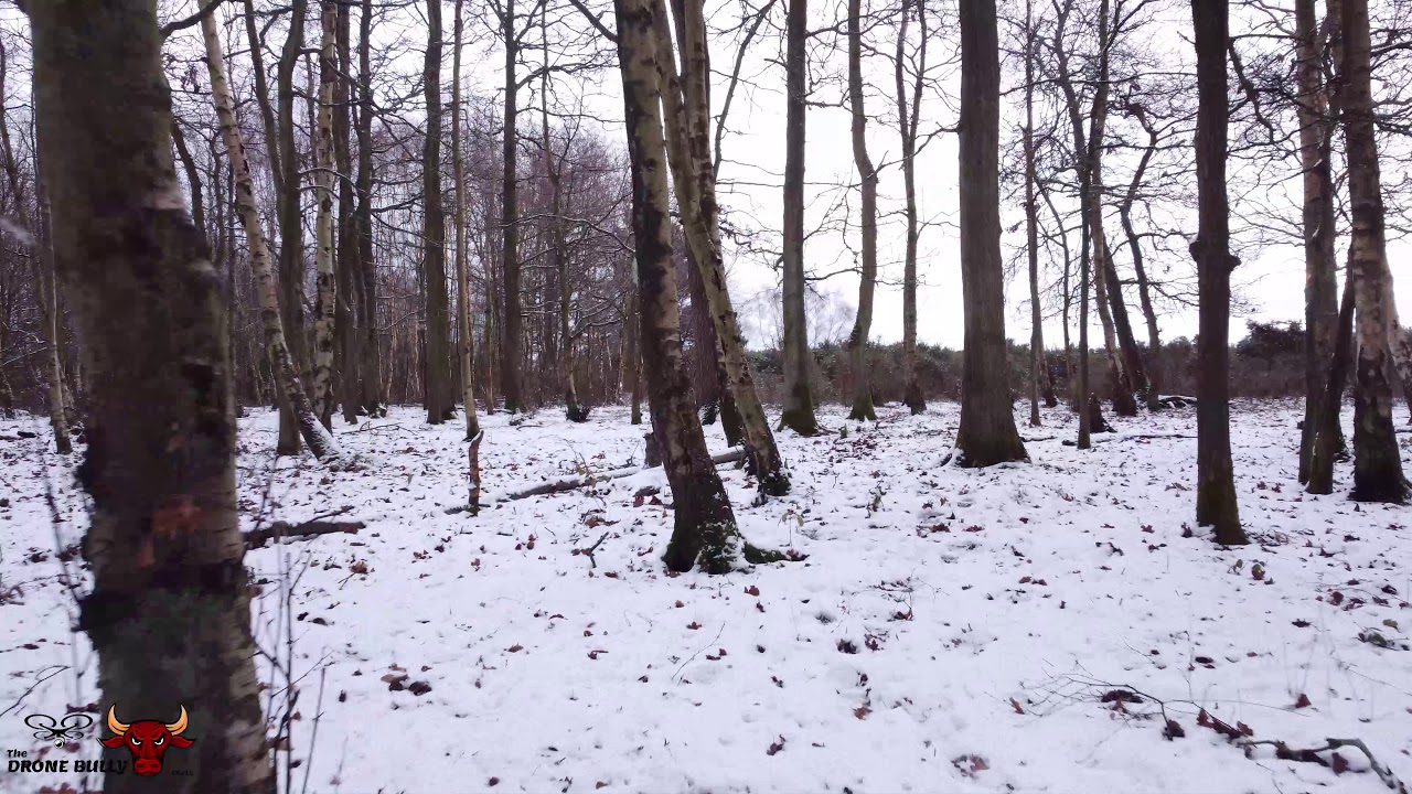 DJI Mini 2 - Snow & Trees Test, flying between trees