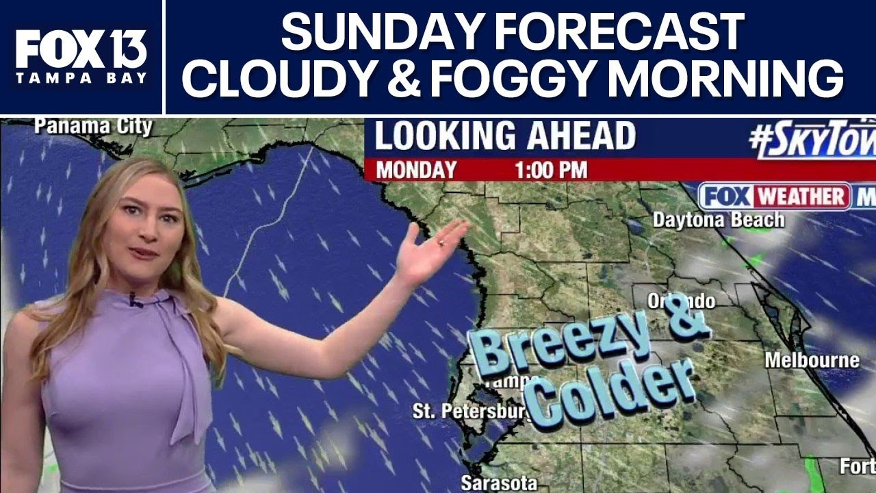 Tampa Weather | Cloudy and foggy Sunday morning