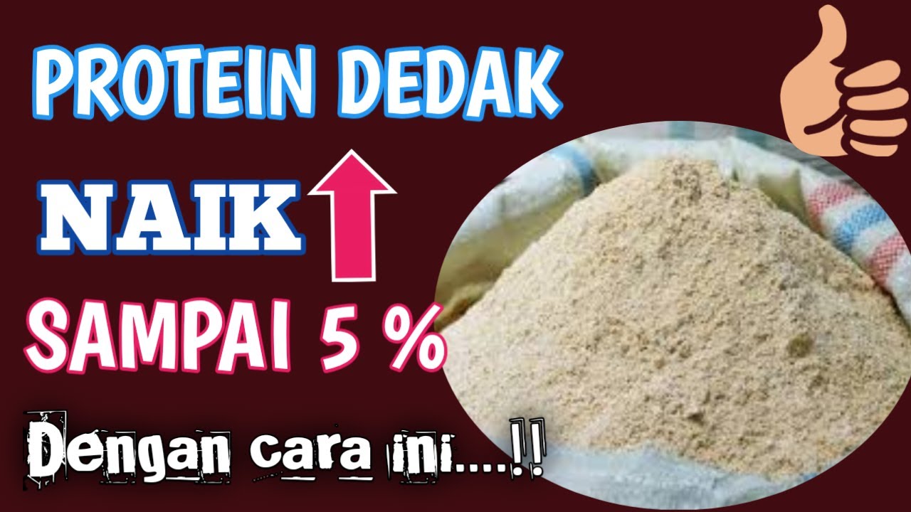 FERMENTASI DEDAK PADI DAN JAGUNG GILING DENGAN EM4 PROTEIN NAIK SAMPAI 5%