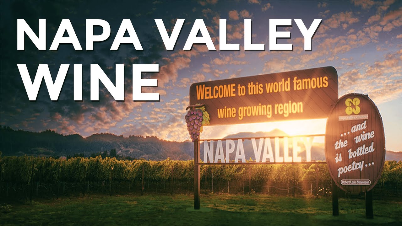 Discover NAPA VALLEY Wine: A Beginner’s Guide