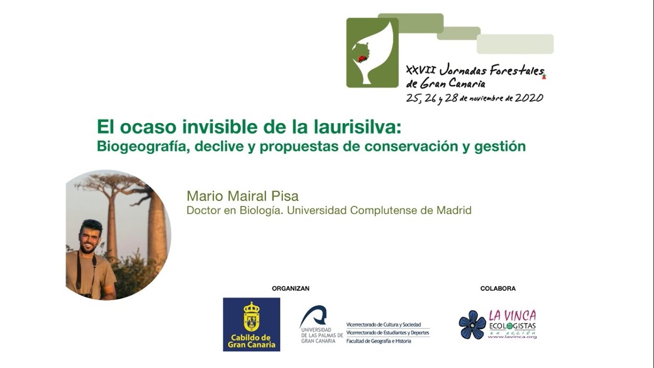 Mario Mairal Pisa – El Ocaso invisible de la laurisilva. XXVII Jornadas Forestales de Gran Canaria
