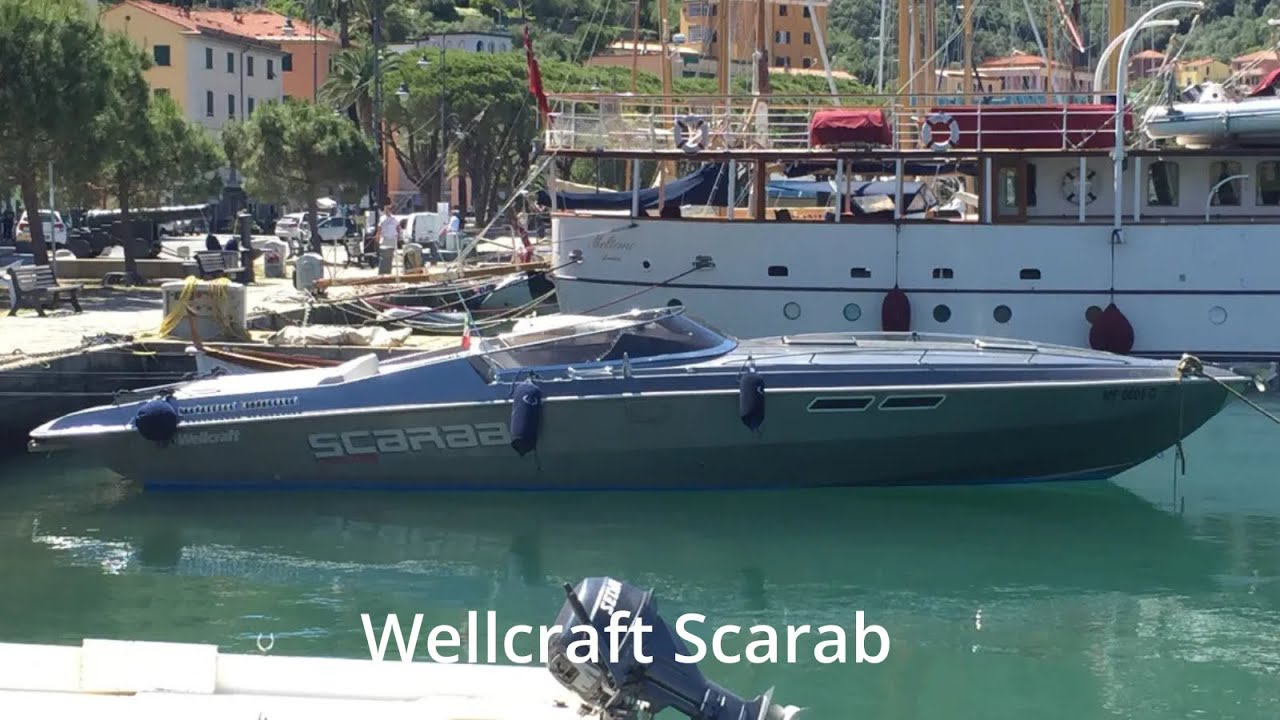 Wellcraft Scarab