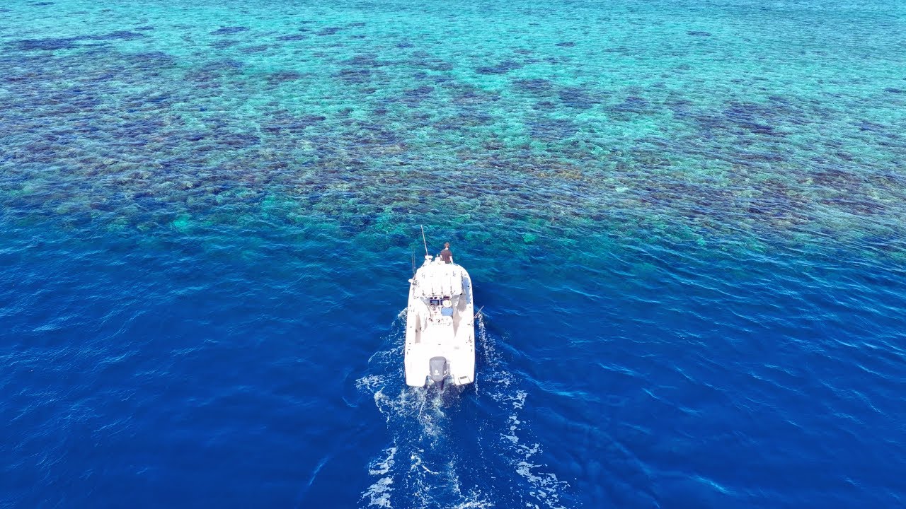 Fishing the Great Barrier Reef - Jigging, Casting & Spearing