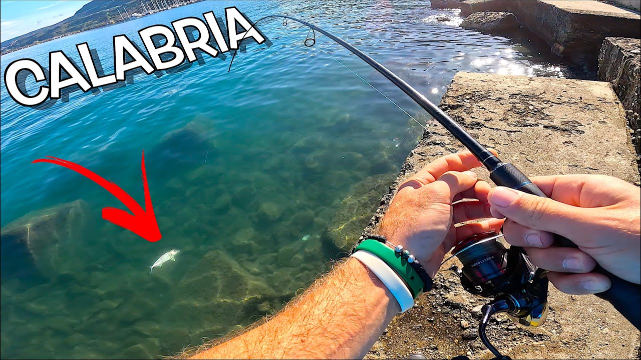 BELLISSIMA Pescata in Calabria! 6 SPECIE DI PESCI a Light Spinning in Porto [NUOVO Personal BEST]