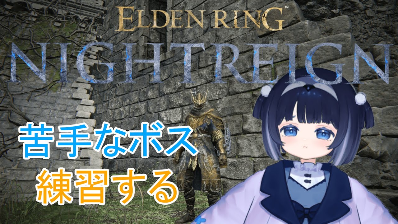 ペンギンが行く！！エルデンリングナイトレイン！！～Steam版～【ELDEN RING NIGHTREIGN】