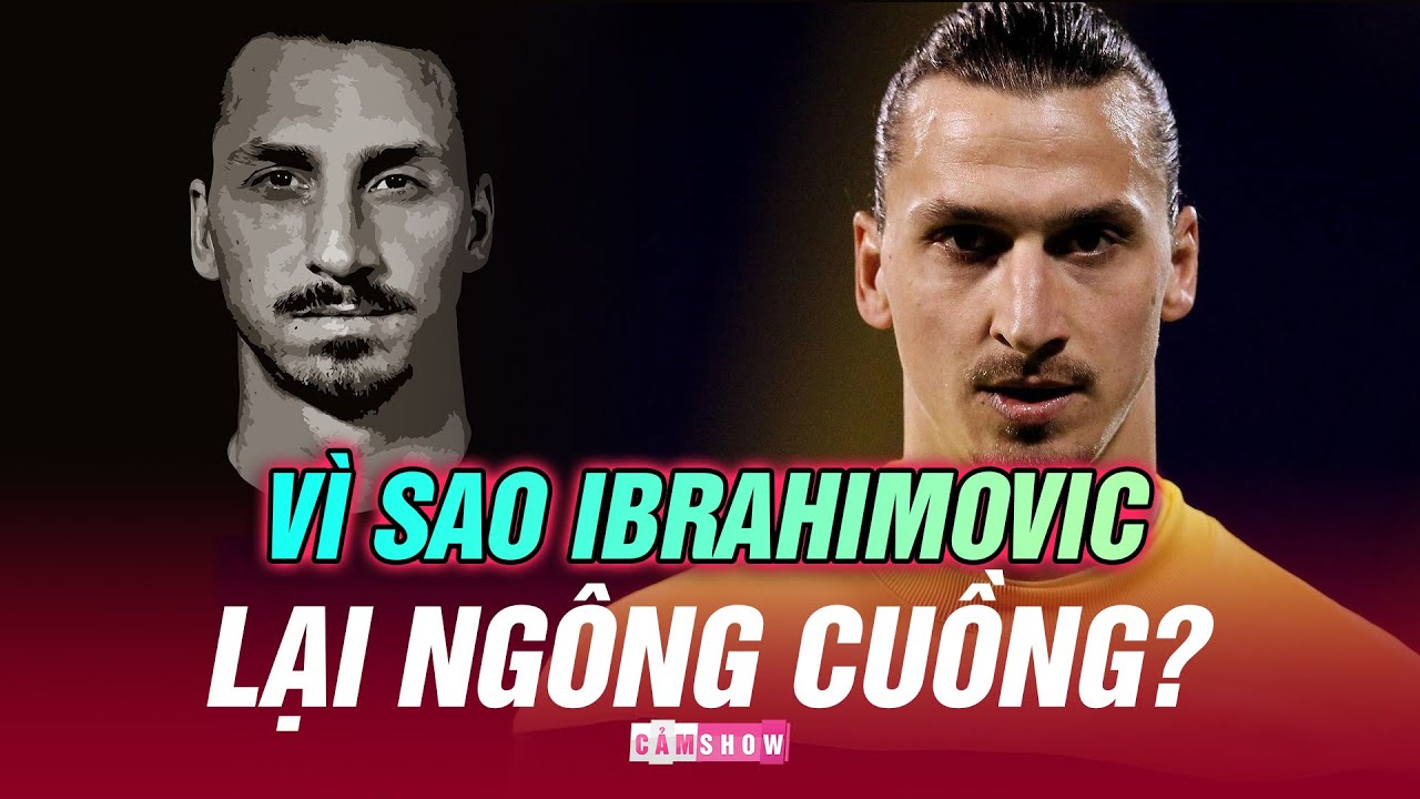 VÌ SAO ZLATAN IBRAHIMOVIC LẠI NGÔNG CUỒNG?