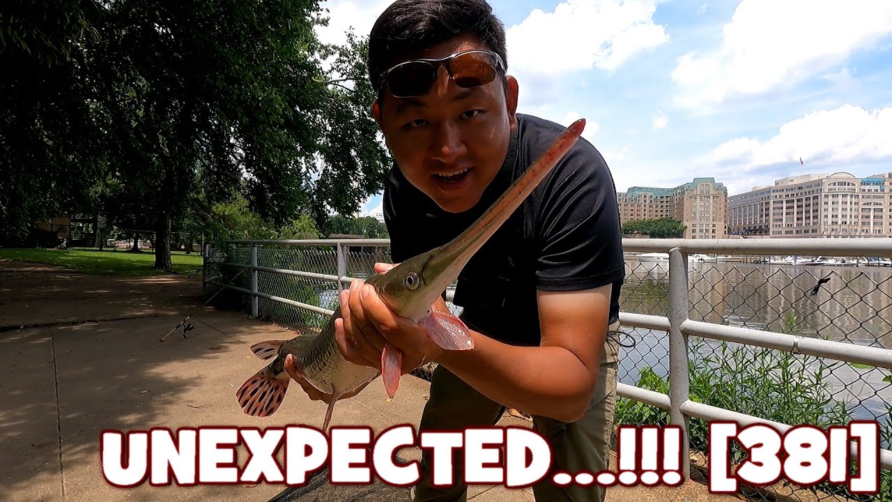 An UNEXPECTED POK...*cough*...SPECIES Appears...!!!