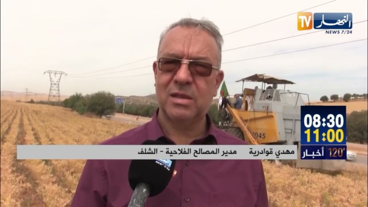 الشلف /  الحاج عبد القادر .. نموذج ناجح في زراعة الحمص