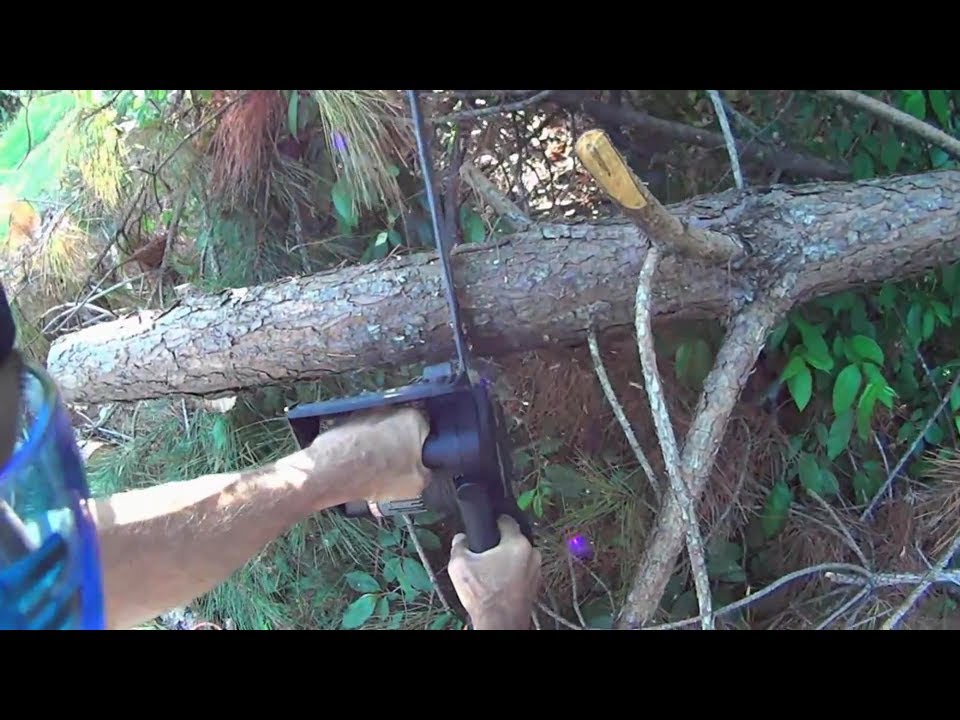Poulan Model PLN1514 14 Inch Electric Chain Saw - Product Review