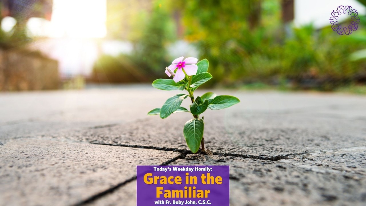 Grace in the Familiar | Father Boby John, C.S.C.