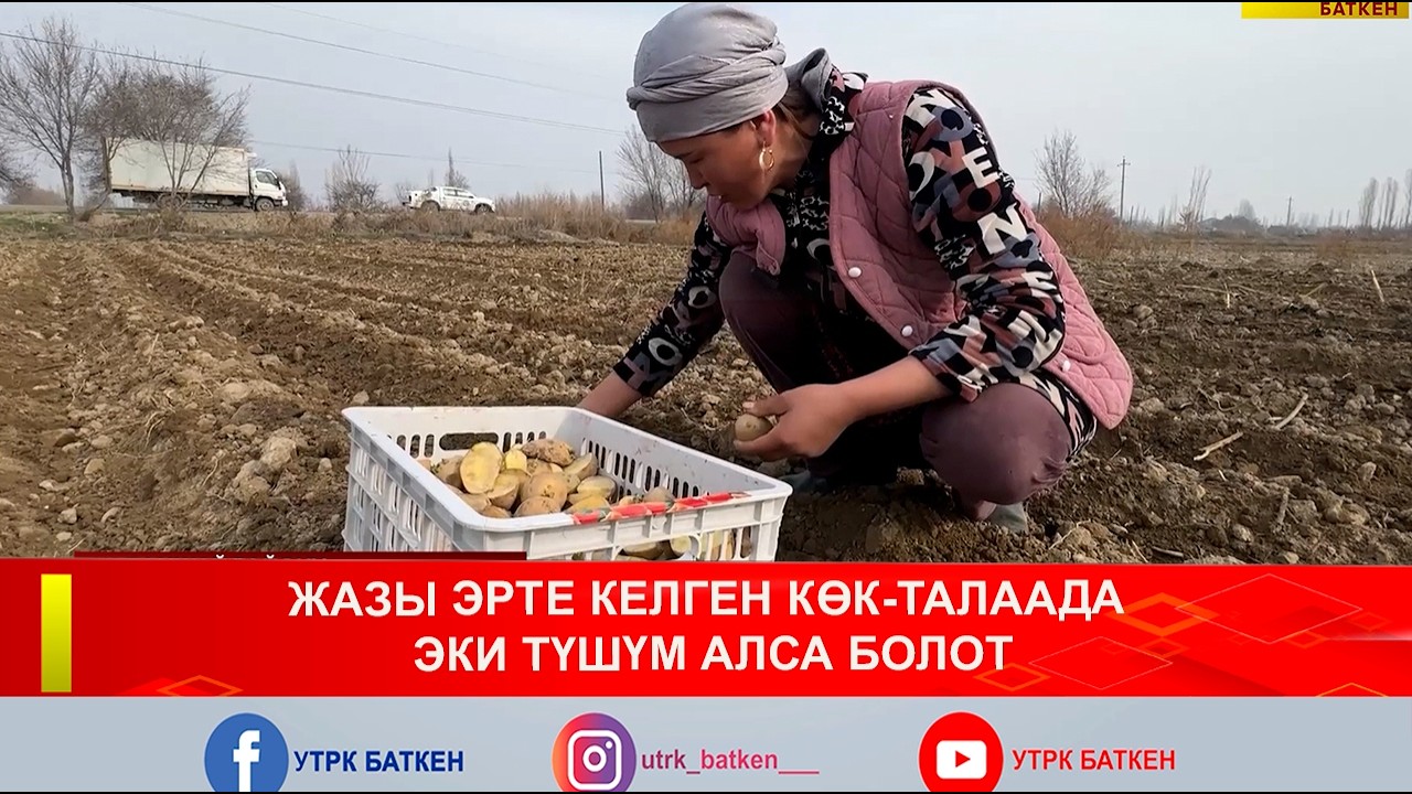 ЖАЗЫ ЭРТЕ КЕЛГЕН КӨК-ТАЛААДА ЭКИ ТҮШҮМ АЛСА БОЛОТ