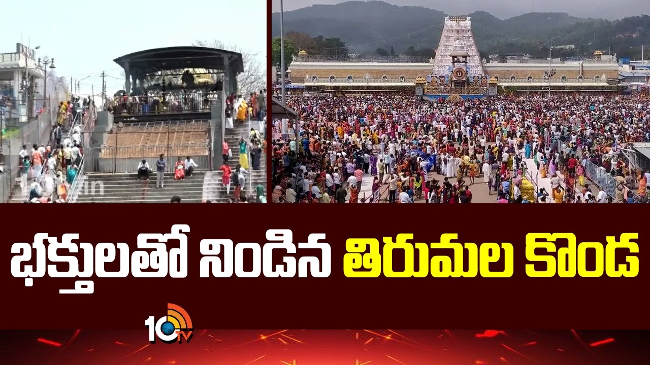 భక్తులతో నిండిన తిరుమల కొండ | Huge Devotees Coming to TTD for Srivari Darshan | 10TV News