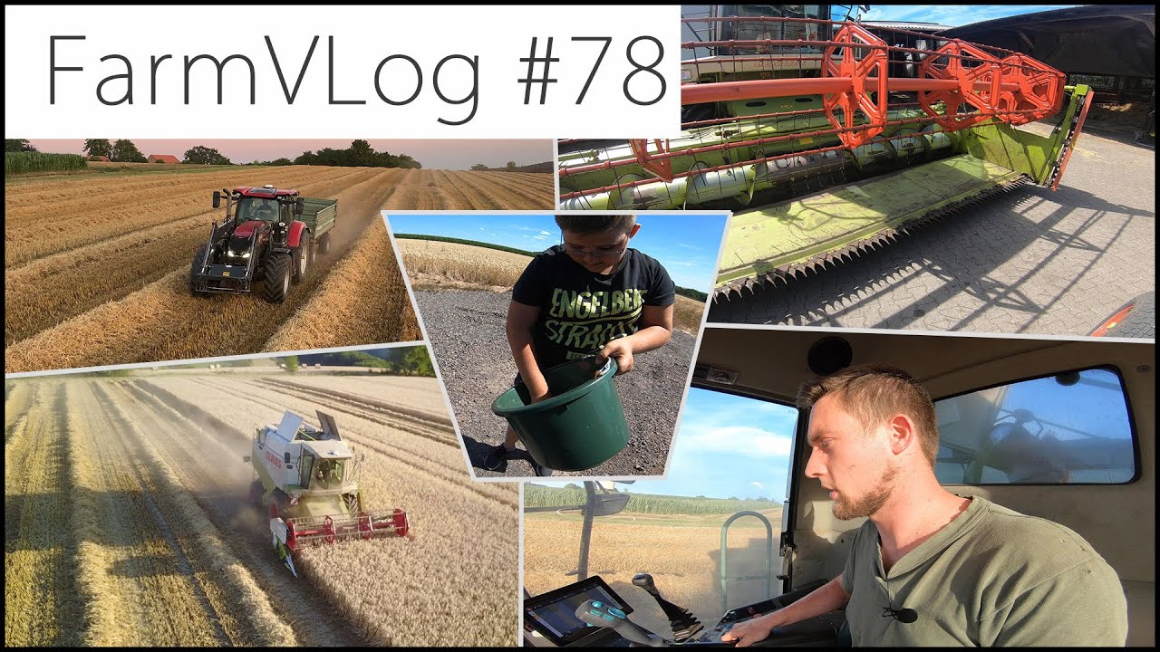 FarmVLOG#78: Ernte bis zur Halbzeit Gerste/Triticale + Neues Rapsschneidwerk