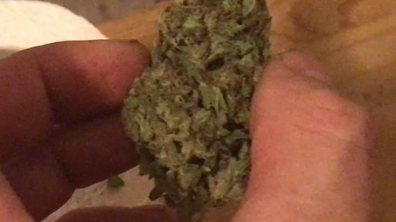 WHITE SIBERIAN  Dinafem   Cannabis