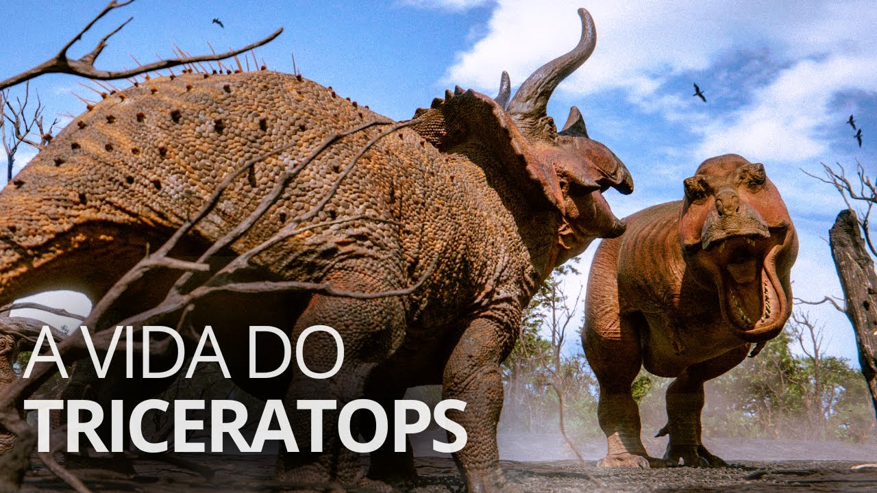 Triceratops: o verdadeiro rei dos dinossauros