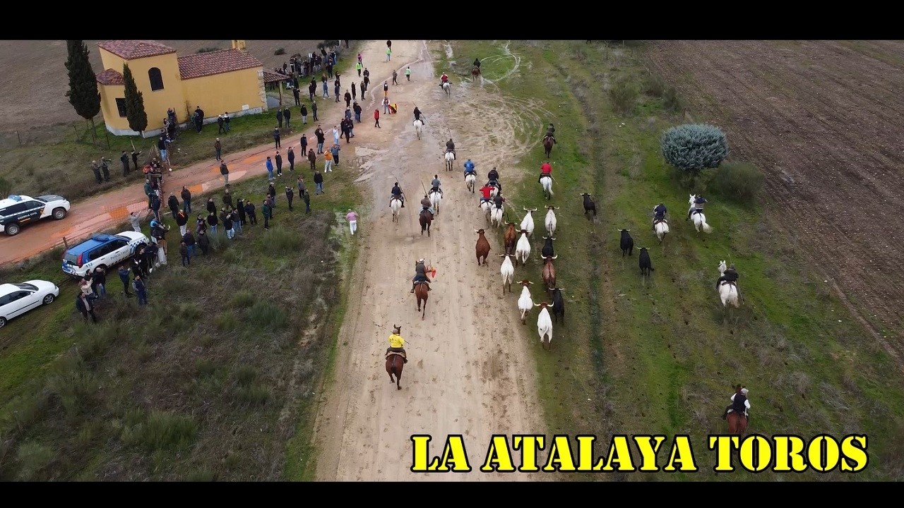 ESPECTACULAR ENCIERRO A CABALLO 2026 CIUDAD RODRIGO CON TOROS DE ANTONIO LOPEZ GIBAJA