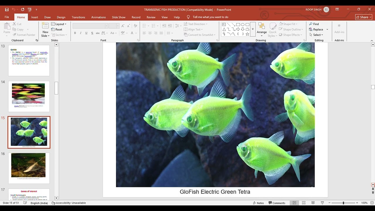 TRANSGENIC FISH PRODUCTION Compatibility Mode   PowerPoint 2026 01 23 00 17 24