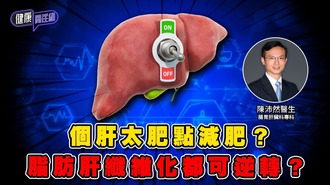 個肝太肥點減肥？脂肪肝纖維化都可逆轉？ ｜希愈醫療中心 HEAL Medical ｜ 陳沛然醫生