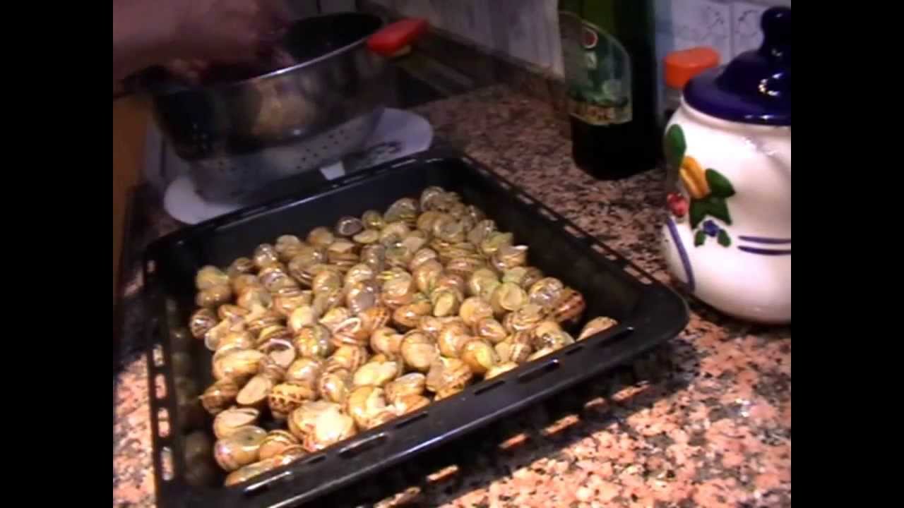 Caracoles a la 