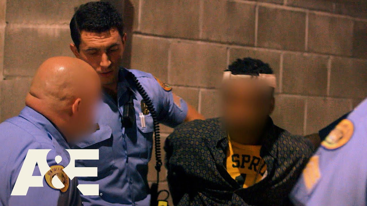 Nightwatch: Cops Run Down 