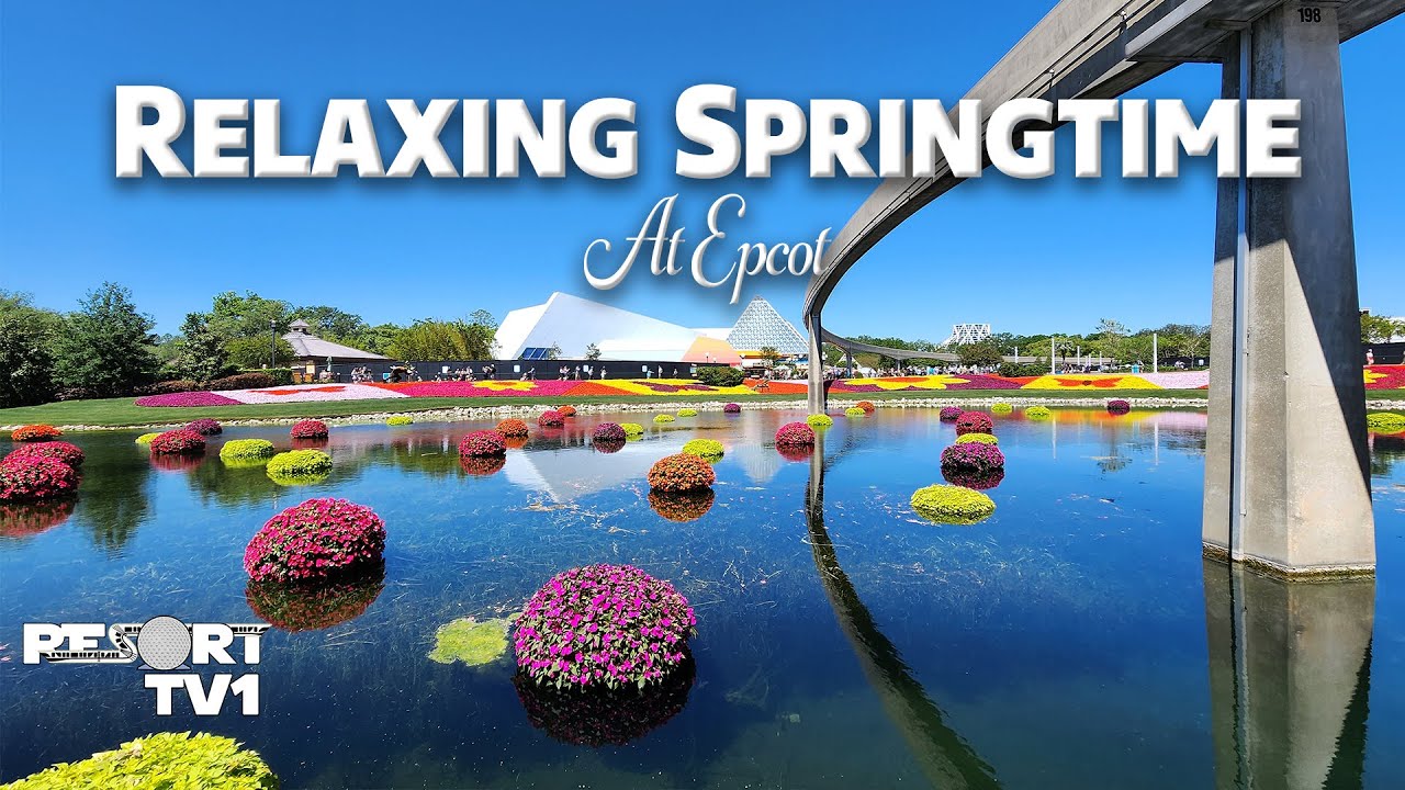 Springtime Ambience ~ 8 Hours of Flowers ~ Birds Chirping ~ Epcot Topiaries ~ Calm Relaxing Music
