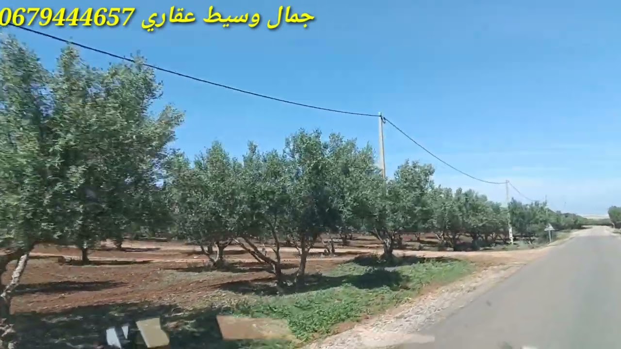 فيرما كبيرة 360 هكتار للبيع تيتر 66 هكتار مغروسة زيتون او باقي خاوي جهة فاس مكناس مجهزة 💯0679444657