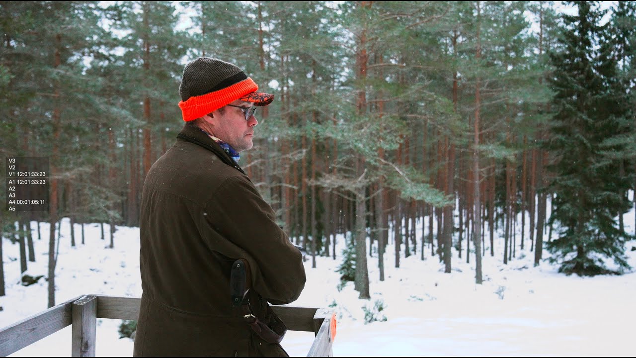 I Dovhjortens Rike - Sp&auml;nnande jakt i &Ouml;sterg&ouml;tland