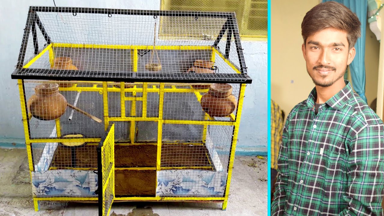 Bird Cage || Lovebirds Breeding Cage Setup || Budgie Parrots Cage