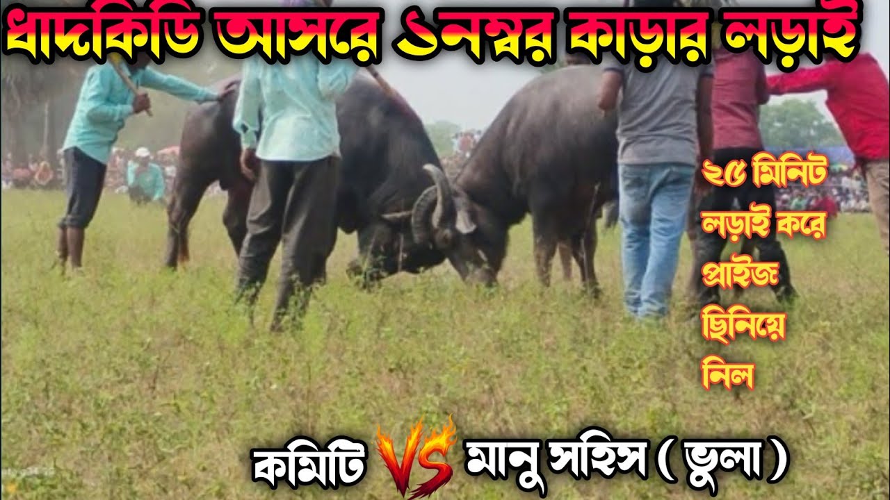 ধাদকিডি আসরে ১নম্বর কাড়ার লড়াই ২৫ মিনিট লড়াই করে প্রাইজ ছিনিয়ে নিল