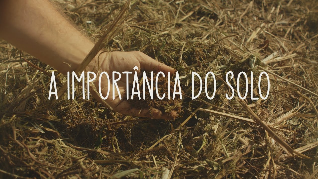 Agricultura e o Fim do Mundo - Capítulo I, A Importância do Solo