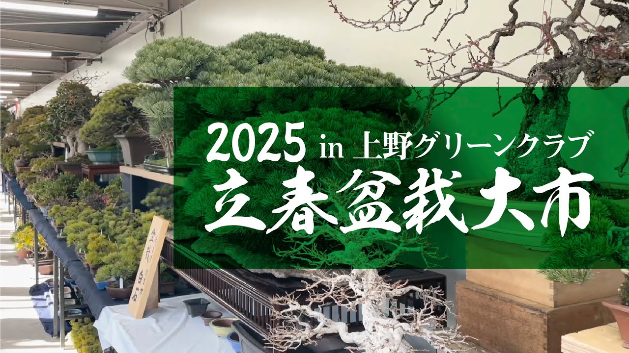 【2025年 立春盆栽大市】北関東盆栽組合のブースをご紹介します！