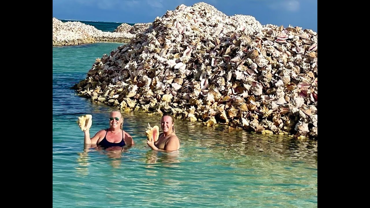 Adventures in the British Virgin Islands, Lobster Fest, Bat Caves, Famous Foxy, Bubbly Pools & more