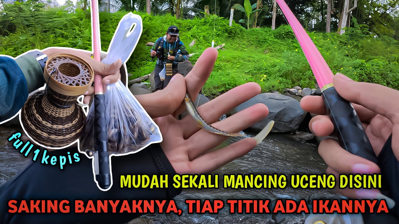 🍃 SPOT MANCING UCENG PAKEM SLEMAN YOGYAKARTA AREA, COBALAH ‼️