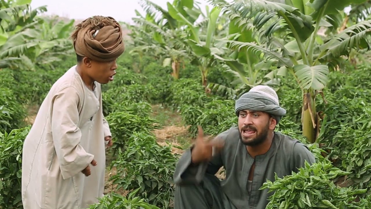 نفس اللي عمله في ابوه اترد من ابنائه التلاته 😂