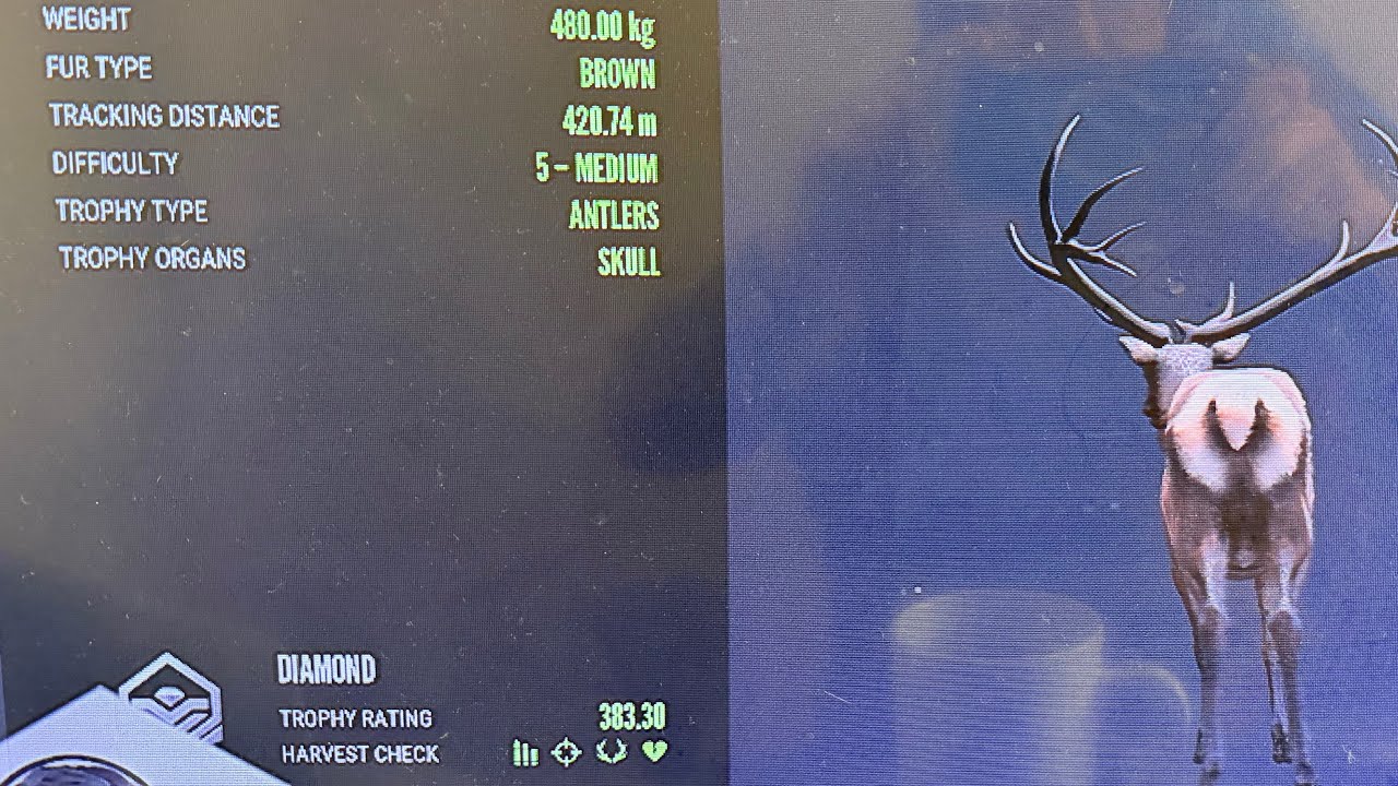 Easy's World Live Call of the Wild 2/22