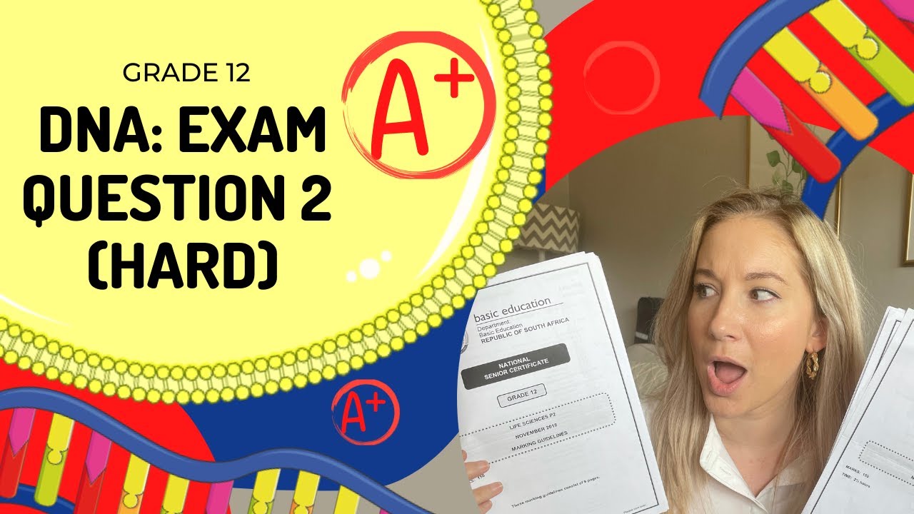 GET an A+ in EXAMS!! | How to answer| DNA Q2- HARD