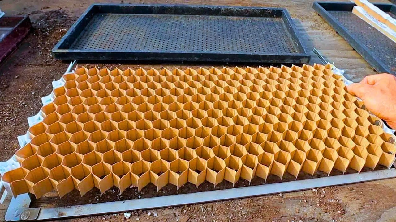 FASTEST Seed Planting System You've EVER Seen