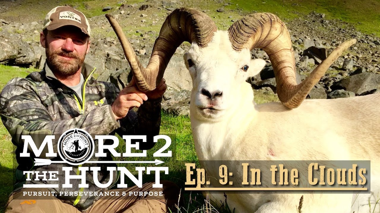 The Story of Hunting a 43
