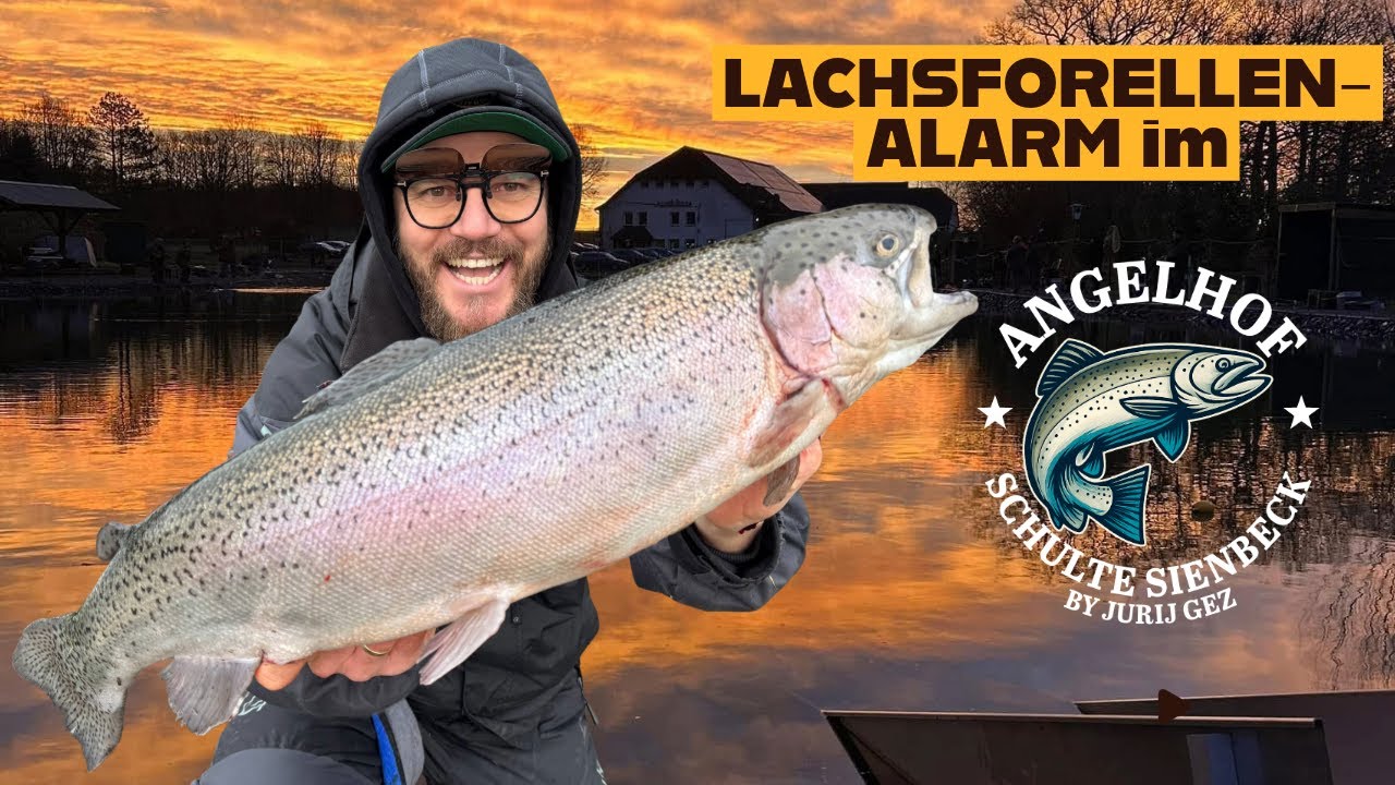 Lachsforellen-Alarm! 🎣🔥 Fangaction im Angelhof Schulte Sienbeck