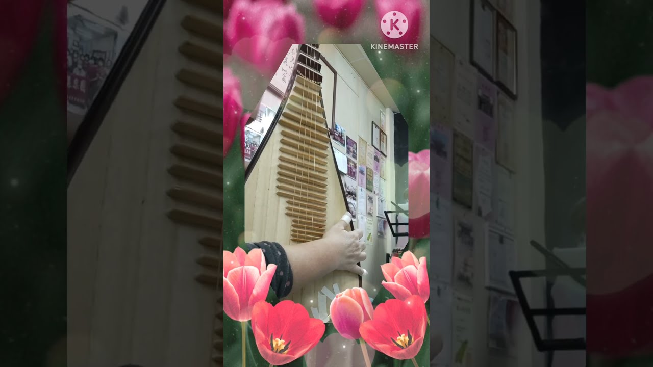 孟貢丸（桃花戀情）在TWO&TWO琵琶樂團「梁祝協奏曲」課堂練習延伸和補充教學中，有了和樂團目前正在學練習的客家歌謠「桃花戀情」有了同樣琵琶彈撥技巧。感謝老師指導指正！2026/1/12