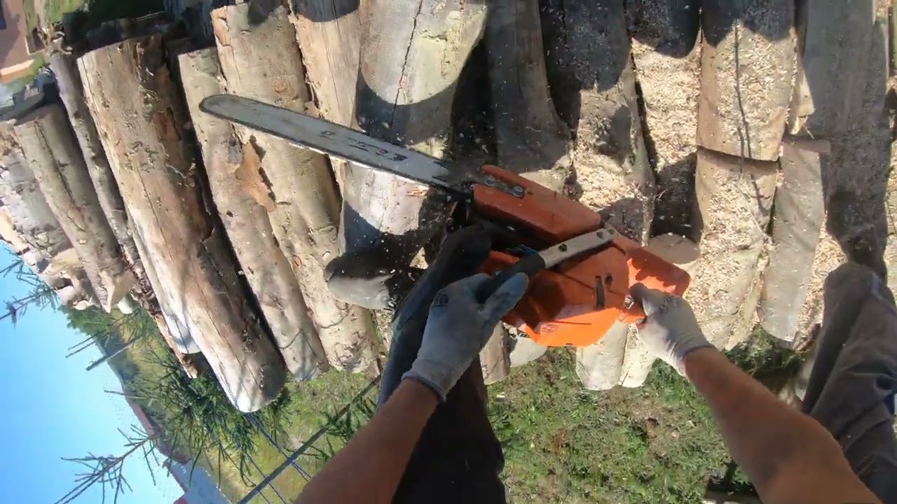 Husqvarna 365 Special!
