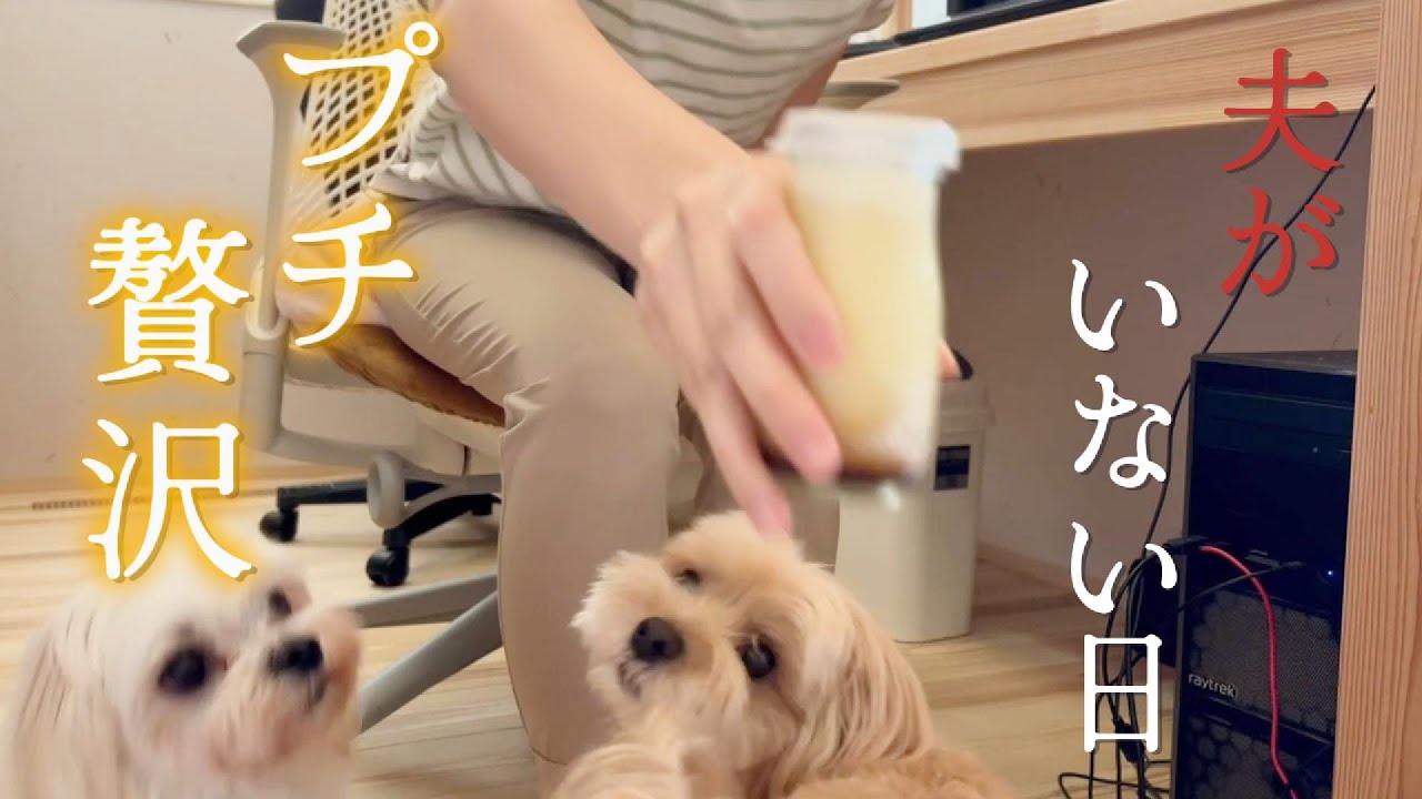 夫がいない日...内緒のプチ贅沢|ひとりと２匹の日常