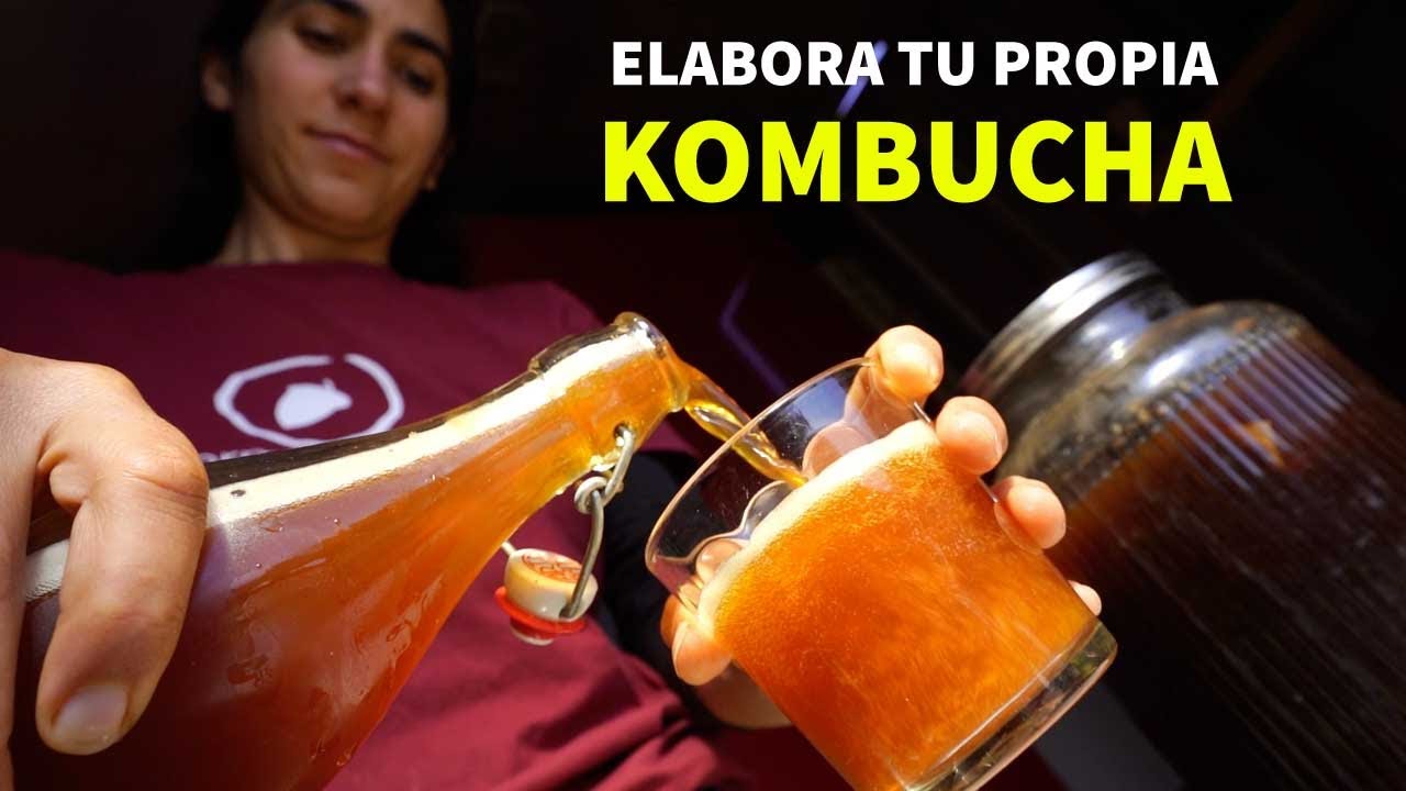 KOMBUCHA 🍹 [BENEFICIOS de PROBIÓTICOS NATURALES]