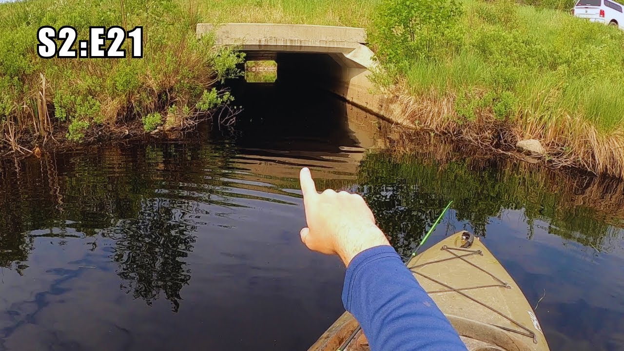 I NEVER Thought This Lake Would Hold Fish!